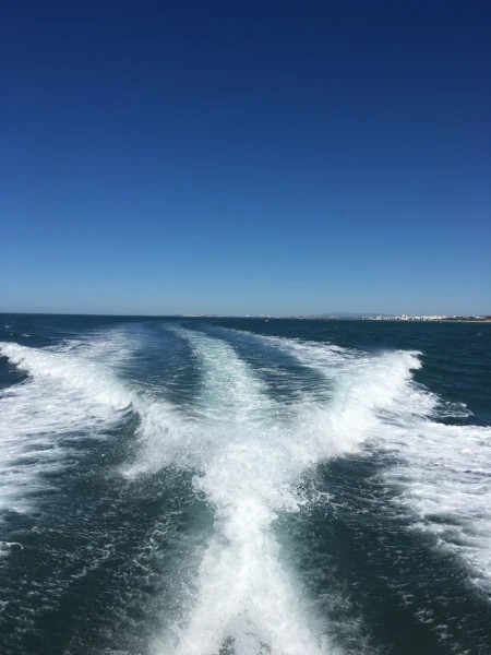 The Therapeutic Benefits of Being on the Water