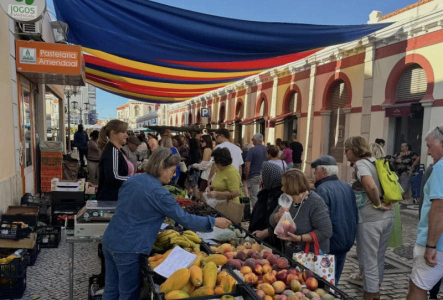 Market Day Adventures